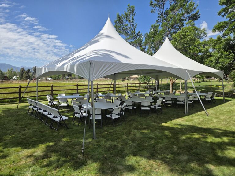 Backyard Birthday Party Celebration Rentals
